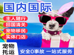 新桥机场快运国际宠物托运 【国